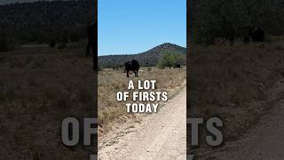 A few firsts to close out my first week in AZ. #antifragility #fitover40