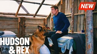 Hudson and Rex 2024 🔥🔥 The Good, the Bad, and the Rex 🔥🔥 Full Episode Series 2024 New