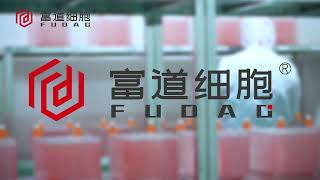 FuDau 10 Layers Cell Factory - Large Scale Cell Culture （1）