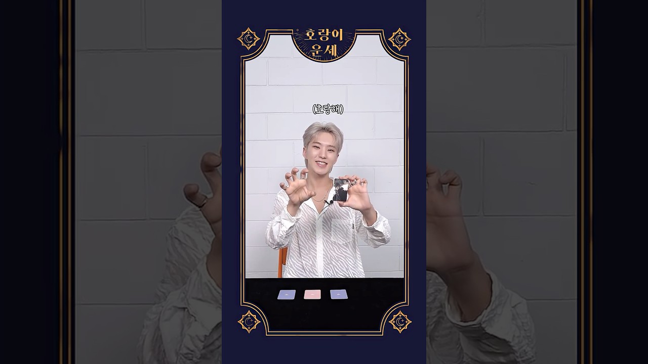 [HOSHI TAMTAM] 호랑이 운세 #6