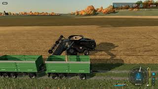 Farming Simulator 22 Без комментариев Сбор урожая соевых бобов на комбайне Massey Ferguson Ideal 9T