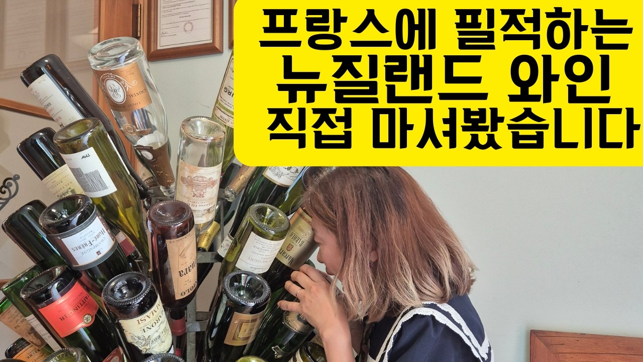 뉴질랜드 대표 와인 산지 3곳 완전 정리 (A Complete Guide to New Zealand’s Three Major Wine Regions)