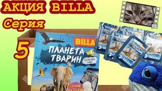 Обзор акции BILLA. 📓 Книга-альбом - Планета животных, серия 5 (Не Льорки) Обзор акции BILLA. 📓 Книга-альбом - Планета животных, серия 5 (Не Льорки)