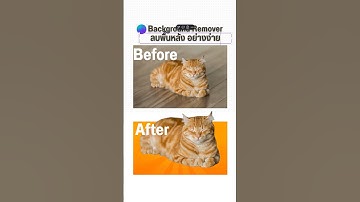 Easy Remove Background Canva #canva #canvatips