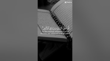 القرآن الكريم #viral #اكسبلور #foryou #لايك #explore #duet #دويتو #motivation #ترند