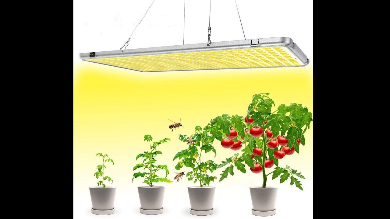 Led Grow Lights for Indoor Plants Full Spectrum 300W