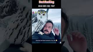 owl #Interesting #foryou #funny #funnyvideo #fyp #cute #top #pets Funny Animal Compilation