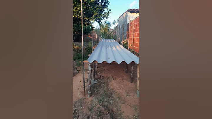começando na hidroponia na areia , tentando fazer uma renda extra #hidroponia #cultivo #horta