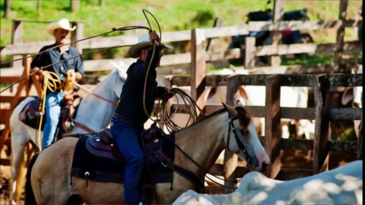 Ranchurlaub in Costa Rica mit PFERD & REITER
