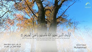 47_سورة محمد بصوت القارئ الشيخ حمزة معاذ - تسجيلات القرآن الكريم من الشارقة.