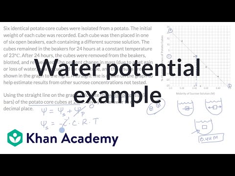 Water potential example | Cell structure and function | AP Biology | Khan Academy