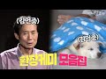 김포 짐승남 김언중의 개딸 김멍중 성장기 풀버전, KBS 방송