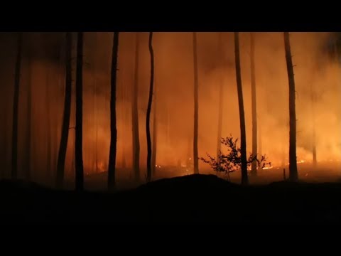 EVAKUIERUNGEN: Heftige Waldbrände in Mecklenburg-Vorpommern und Brandenburg