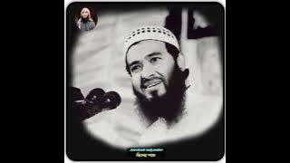 নিজেকে পরিবর্তন করা লেকচার 🌿 | jamshed mojumdar | জামশেদ মজুমদার | new waz 2025 #islam #waz 