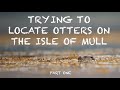 Photographing OTTERS on the ISLE of MULL (Part One) - WILDLIFE PHOTOGRAPHY