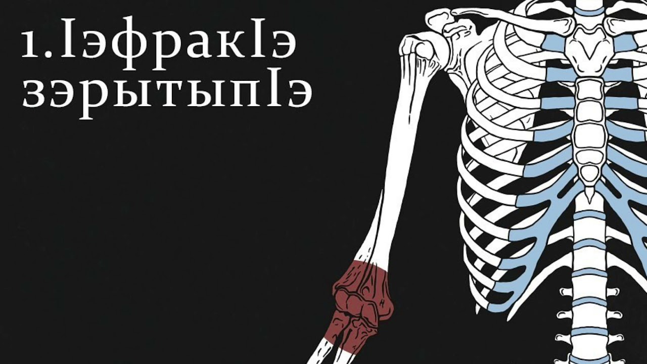 Parts of the skeleton in Circassian. Части скелета на черкесском