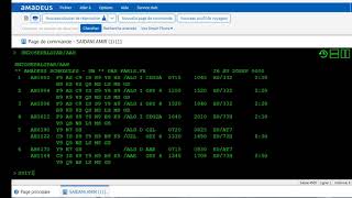 FORMATION AMADEUS