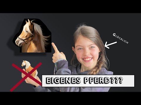Was Sind Die Geschlechter Von Pferden?