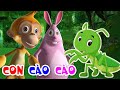 Con Cào Cào, Nhạc thiếu nhi remix sôi động - Nhạc thiếu nhi sôi động vui nhộn cho bé