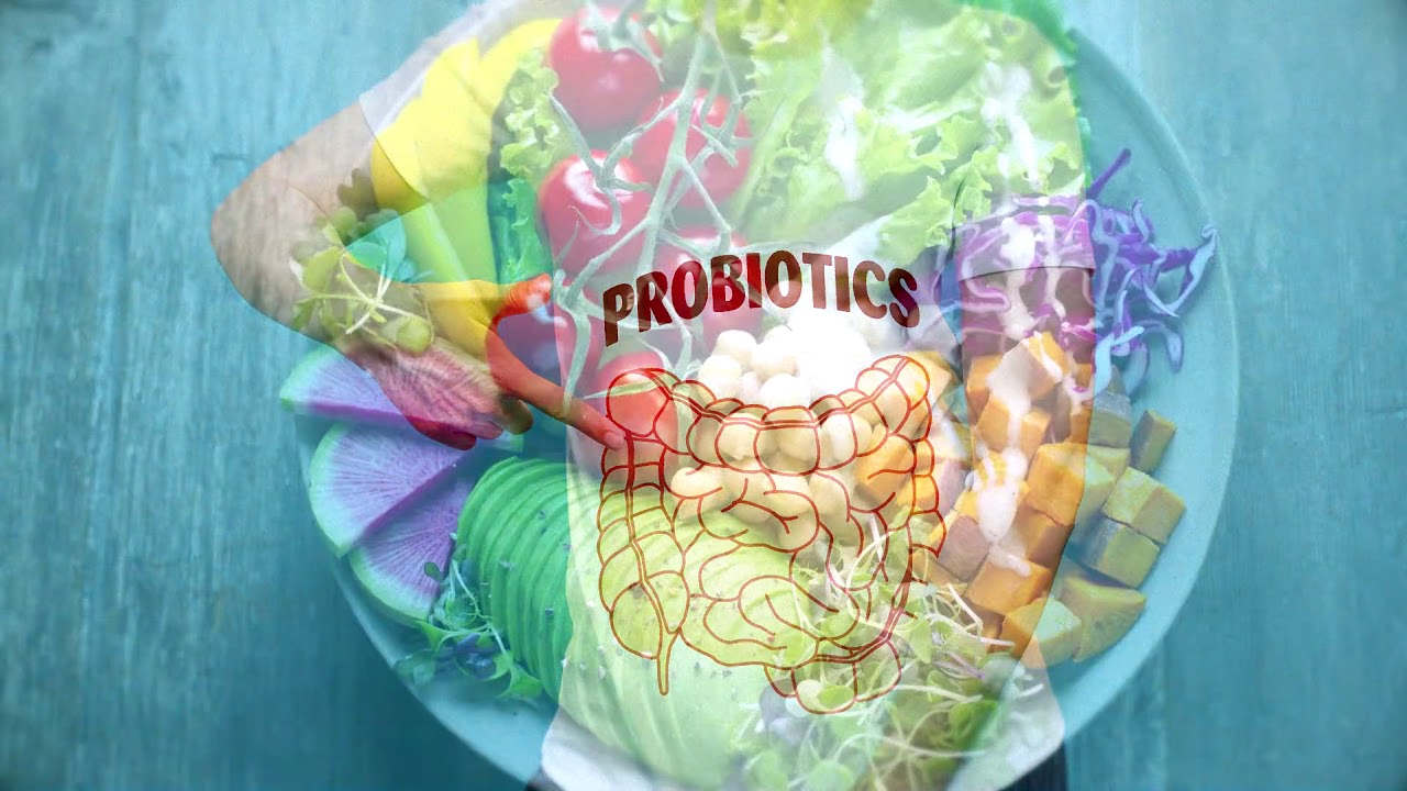 Solari Wellness Series: The Gut Microbiome—Why We Should Care with Dr ...