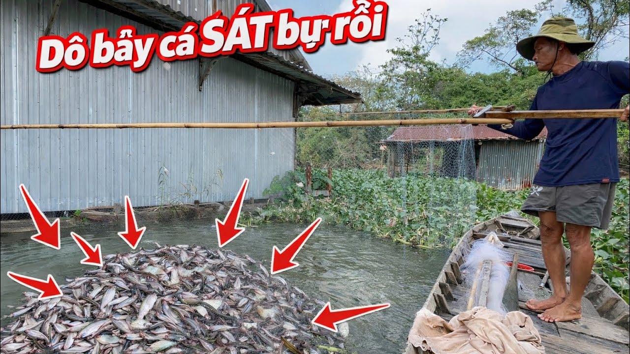Xúc Được Vợt Cá Sát Bự. đầu Năm Sau Ngày Nghỉ tết..!!