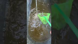 Bait tank hack #fishing #catchmorefish #catfish #viral #my #fishinghacks