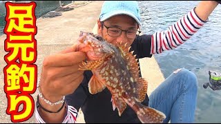 足元にいる高級魚が簡単に釣れまくる！