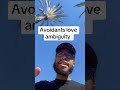 #avoidant #avoidantattachmentstyle #attachmenttheory