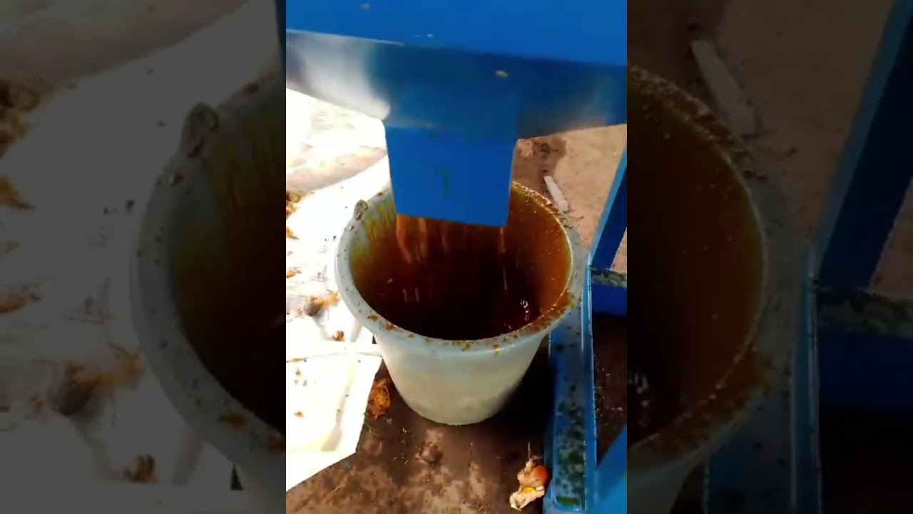 Palm  Oil Press Machine