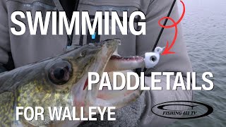 Swimming Paddletails for Walleye
