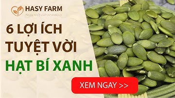 6 Lợi ích hạt bí xanh | Tác dụng tuyệt vời cho sức khỏe, vóc dáng