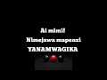 Kusah X Jay Melody Yanamwagika Lyric Video 
