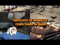 TIANGUIS DE ANIMALES de Chalco Estado de México.!