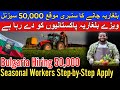 Bulgaria Hiring 50,000 Seasonal Workers | No IELTS, No High Education Required | Bulgaria Work Visa