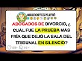 Abogados De Divorcio, ¿Cuál Fue La Prueba Más FRÍA Que Dejó La Sala Del Tribunal En SILENCIO?