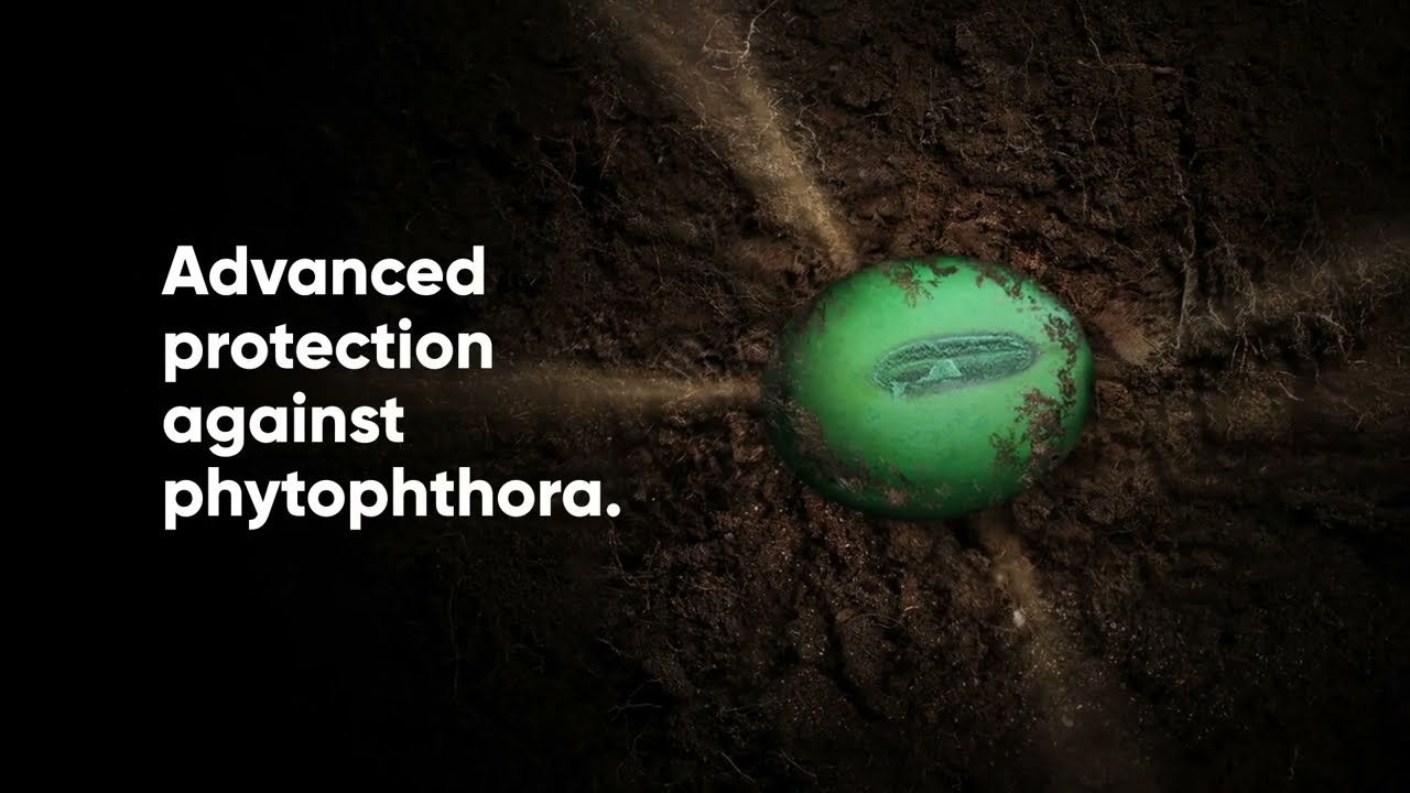 Soybean Seed Treatments 2022 Corteva YouTube