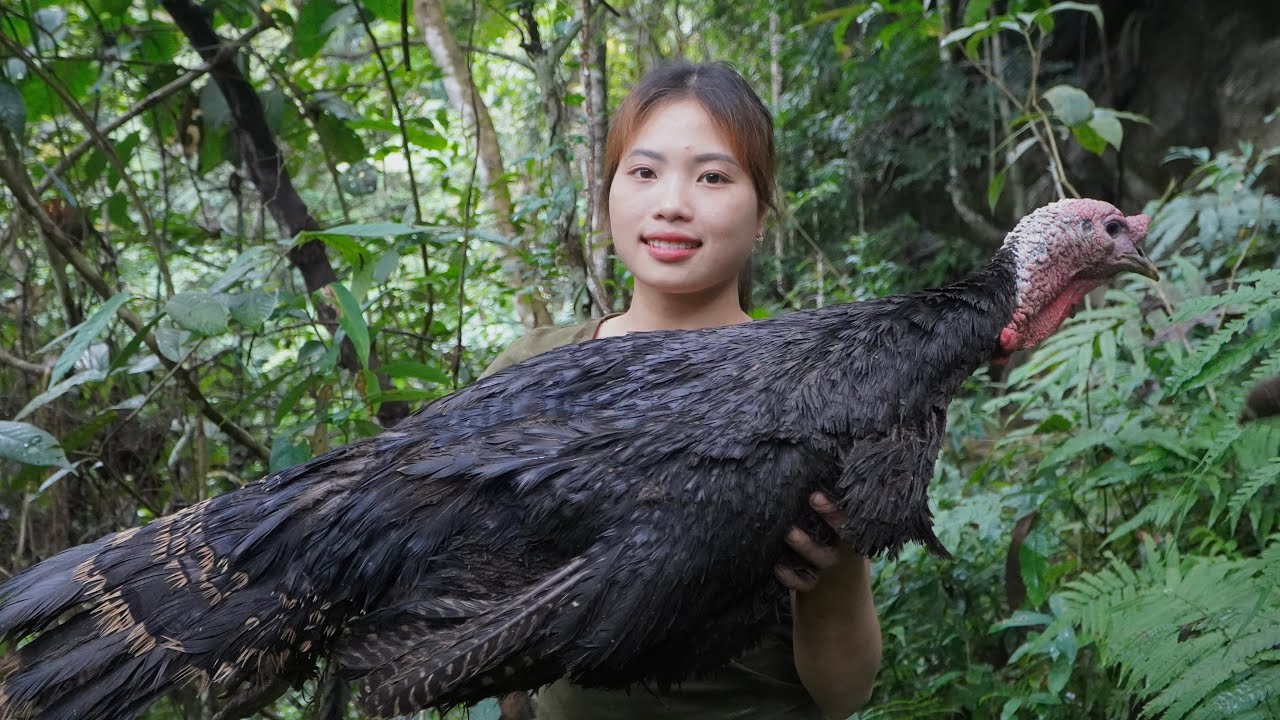 make-primitive-traps-set-traps-catch-turkeys-strong-girl-survival