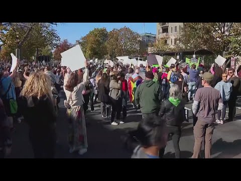Plans for 'The People's March' call for demonstration before Donald ...