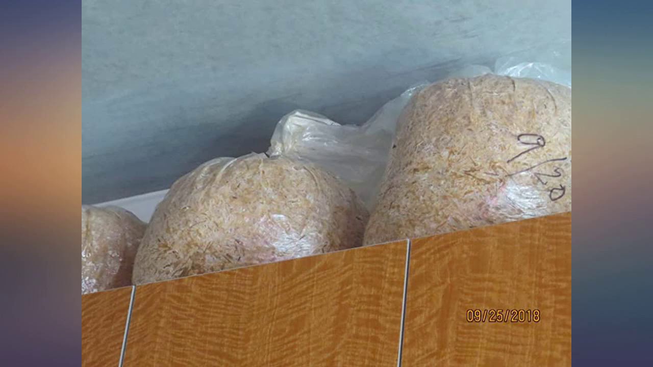 EZStraw Seeding Mulch with Tack Biodegradable Organic Processed