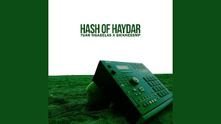 Hash Of Haydar (feat. SicknessMP)