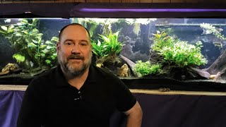 Let's Talk About Nitrate And Canister Filters