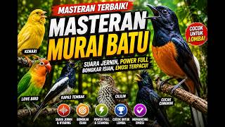 MASTERAN MURAI TERBAIK