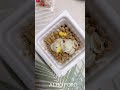 COMO TEMPERAR O NATTO #natto #納豆 #comidajaponesa #soja #karashi #japanesefood #japan #japão