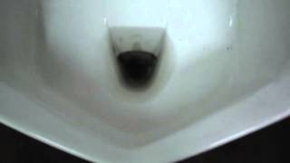 4998: Back Spud 1984-1986 American Standard Lynbrook Urinal 2