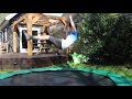 Kaboom tutorial  trampoline tutorials