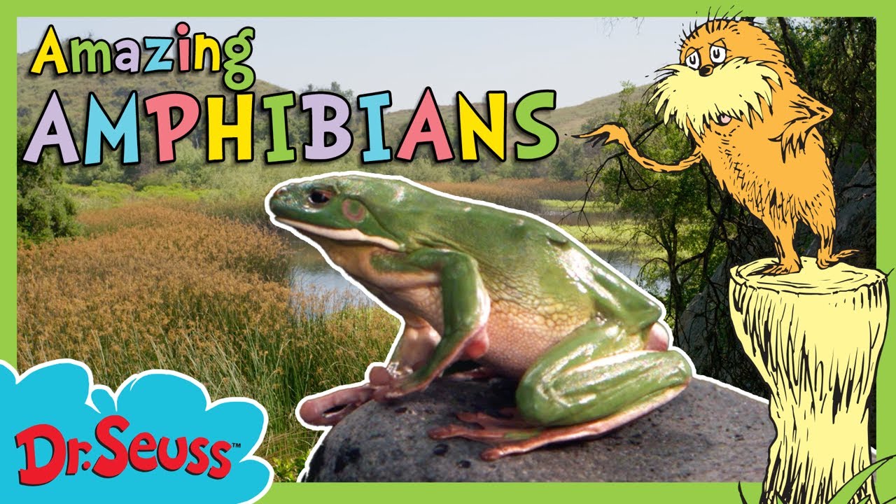 Amazing Amphibians | Brand New Full Episode | The Lorax Nature Keepers Club | Dr. Seuss