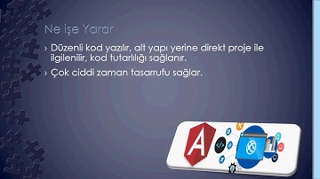Programlama Dilleri 17 / Asp.Net Nedir - Neler Yapılır
