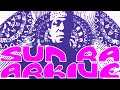 20230203 sun ra arkive  live stream 14  rodger coleman  sam byrd  sun ra sundays book creators