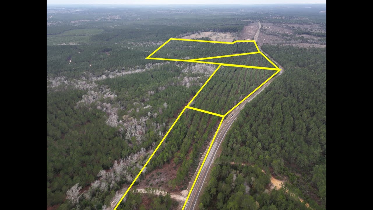 Various tracts | FM 1012 | Newton Co., Texas