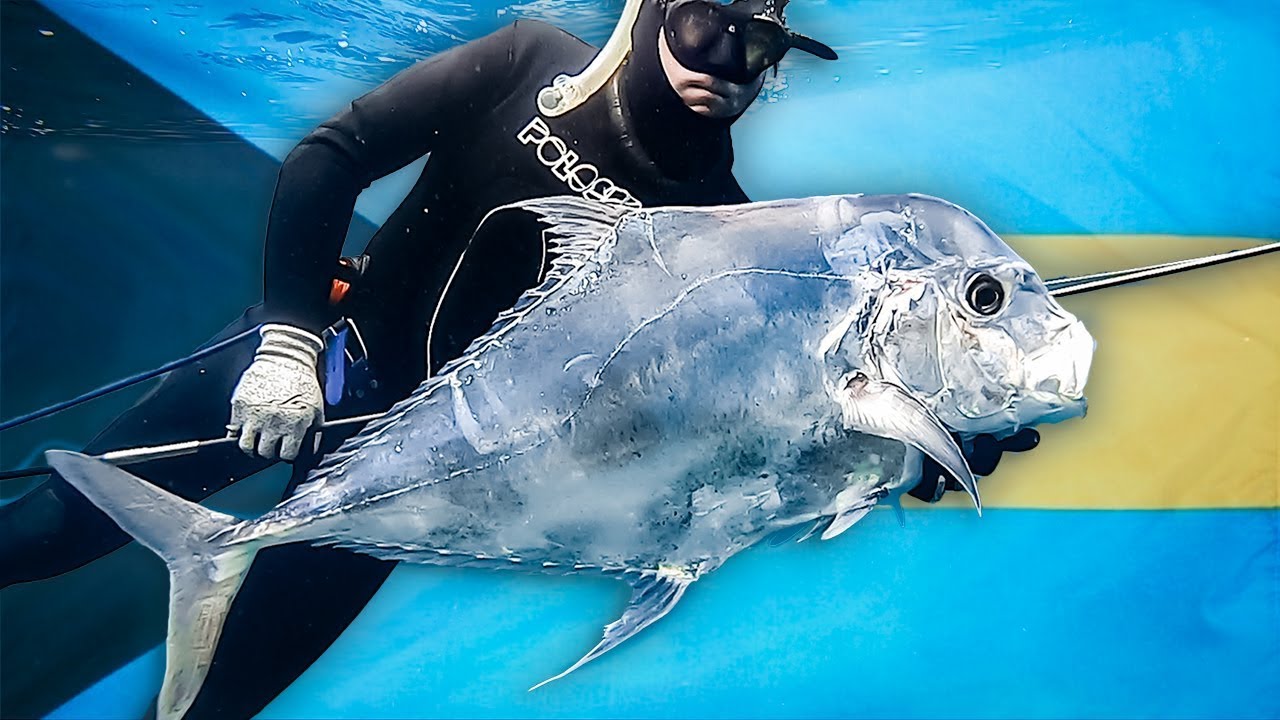 SPEARFISHING African Pompano in the BAHAMAS w/ Pole Spear 